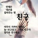 세라비