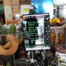 다솜차반 이미지