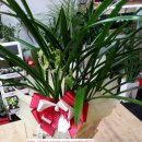 호수파출소 이미지