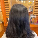 나무헤어 이미지