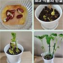 송파하연과학교습소