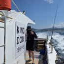 강릉경찰서 | [강릉 놀거리 추천] 킹덤호 배낚시 🎣 강릉바다낚시 체험 후기