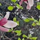 미사광장부동산공인중개사사무소 이미지