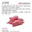 탑스동물메디컬센터 이미지