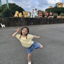 새대한목장 | 제주 새별프렌즈, 아이들과 함께한 힐링 목장 체험 후기