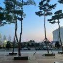 [🌱편입 (새내기)🌱] 24-1 우당탕탕 학교 적응기
