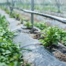 재기농장 이미지