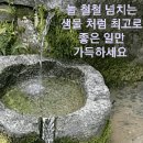 귀스타브 풀로베르 이미지