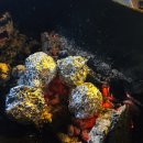 어울림펜션 이미지