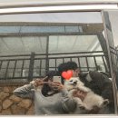 송산포도로150번길 | 여행다니기 좋은 5월