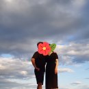 고염나무 민박 이미지