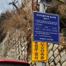 난스튜디오 | 부산 만삭사진 가족사진 추천 입소문난 스튜디오 드오레 내돈내산 후기
