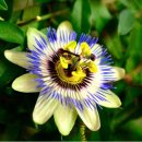 생수의강 이미지