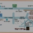 콩 이야기 티스토리