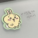 바라던바다대게&새우 | 조용한 여름엔 마음이 흐른다
