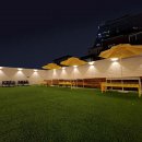 힐링 펫 카페 이미지