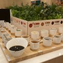 서현청소년 | 분당 맛집] 샤브올데이 서현점 주말 무한리필 후기 | 이용꿀팁, 할인정보 추가