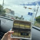 포르투나 스테이 인 표선 | 6월의 제주 여행 기록 (남양수산 / 포르투나 스테이)