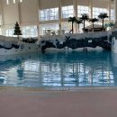 용평워터파크 찜질방 이미지