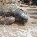 그리던바다 이미지