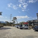 소나무식당앞1 | [전남/구례] 화엄사 블루리본 맛집이라 해서 방문한 내돈내산 솔직후기_소나무정원