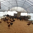 재원농장 이미지