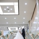 [호암교수회관결혼식] 제일 먼저 만나는 호암교수회관예식 신청안내와 서울대학교내 4개의 예식장소도...