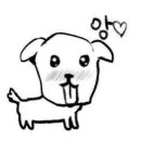 세이펜션 이미지