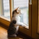 현 동물병원 이미지