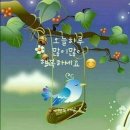 동화유치원.색동어린이집 이미지