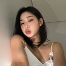 배구선수 이진 모음 이미지