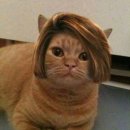 새론헤어 이미지