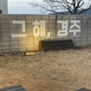 그해, 경주 | 아이랑 가기 좋은 경주 독채 숙소 추천｜솥뚜껑 바베큐·자쿠지 있는 ‘그해 경주’ 후기