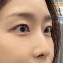 보담뷰티 | 미사 피부관리 '보담뷰티' 속눈썹펌 솔직후기