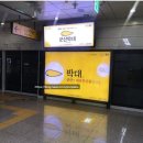 [기록] 2024년 3월의 요기땅 -하-