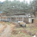 밤잣골천 이미지