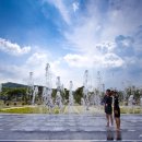 한방엑스포공원 이미지