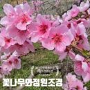 능수슈퍼
