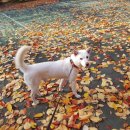 휴베이스원약국 이미지