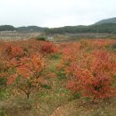 진원 마을회관 이미지