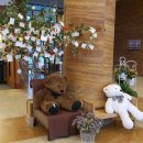 마레몬스관광호텔 이미지