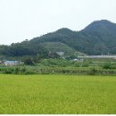 상평2리 이미지