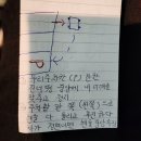 맨드라미 화단 | 부산 북구 도로연수&amp; 초보 우회전 방법 &amp; 좁은길 주차공식