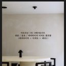 아르프 이미지