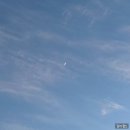 CU삼척대학로점 | 24년 1월 월간 일기