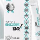 와이지에프(YGF)
