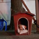 탱크조개&짬뽕 이미지