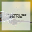 코어강화 필라테스 이미지