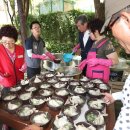 반송2동-17 이미지