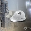 796 이미지